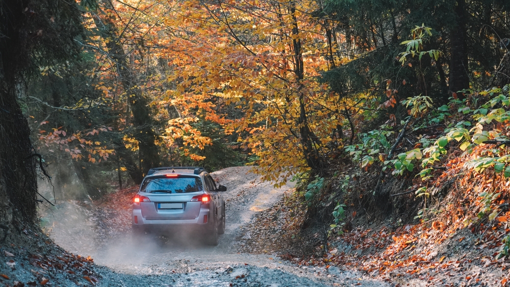 LorentZ-Automotive-subaru-maintanance